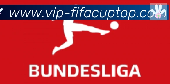 FIFA世界杯比分官方网站合作伙伴